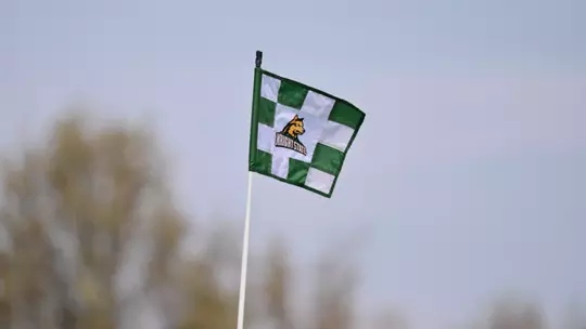 Golf Flag (2025)