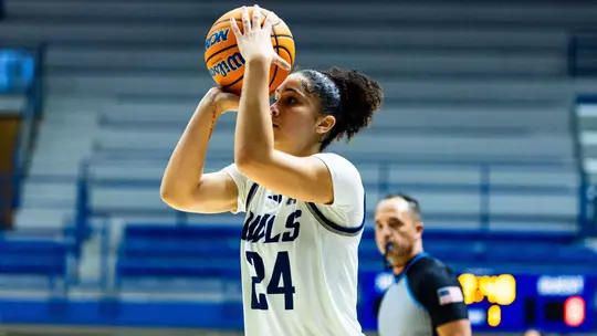 Image related to Owls Cruise Past UTA on Schoolhouse Mania Game