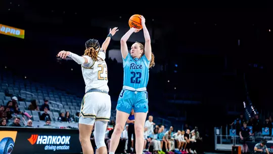 Image related to Owls Set for Exhibition with Mary Hardin-Baylor
