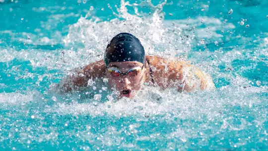 Lily Archibald - Rice Fall Splash (2026)