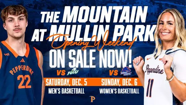Mountain On Sale