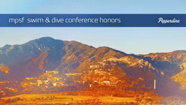 mpsf wsd story header