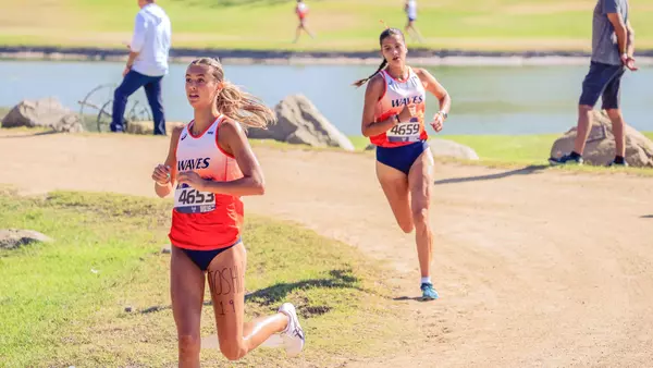 hodgson simpson waves invite