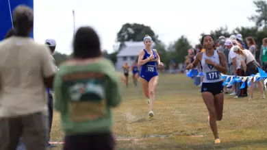 XC Recap - ECAC Championships