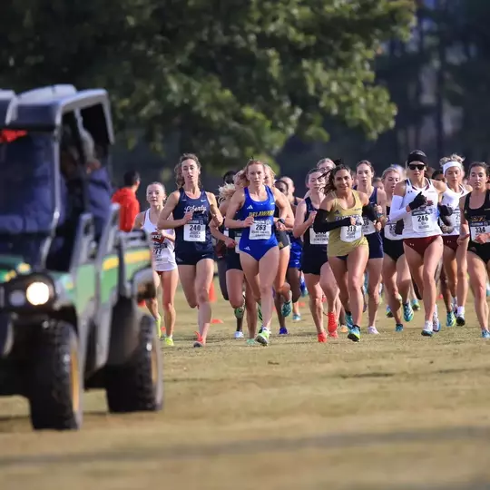 Cross Country Placed 15th at NCAA Mid-Atlantic Regionals