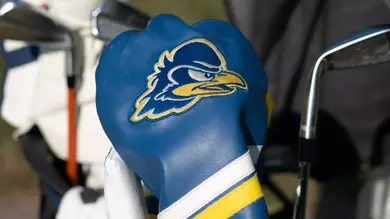 Head Cover