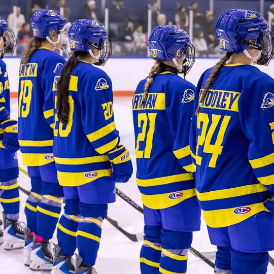 Ice Hockey has 14 Student-Athletes Named to AHA All-Academic Team