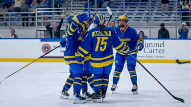 Goal Celebration
