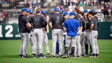 Baseball huddle photo