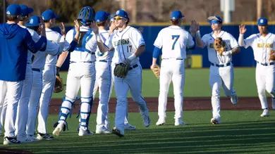Baseball celebration