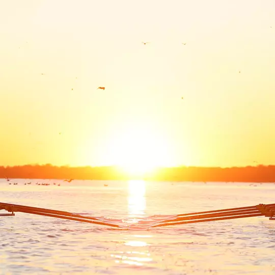 Rowing Has 10 Named CRCA Scholar-Athletes