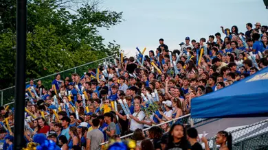 Football Fans