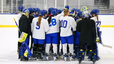 Ice Hockey Team - Practice
