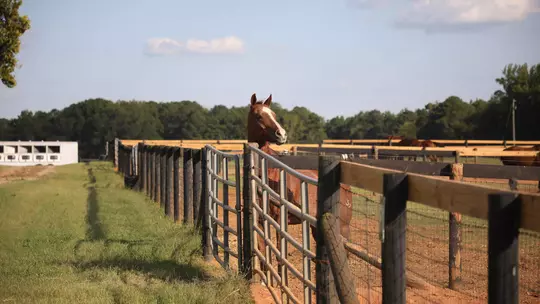 UGA Equestrian Complex - Facility