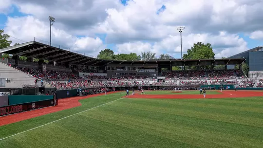 Baseball fans during Georgia's game against Oklahoma at Foley Field in Athens, Ga., on Saturday, April 26, 2025. (Conor Dillon/UGAAA)