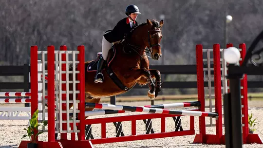 Georgia rider Tessa Brown during Georgia's meet against Texas A&M at the UGA Equestrian Complex in Bishop, Ga., on Saturday, Feb. 7, 2026. (Sofia Yaker/UGAAA)
