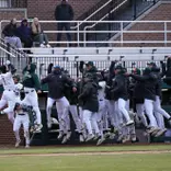 Ryan McKay and dugout celebrate HR by jumping in air