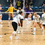 Volleyball vs. LSU 2026
