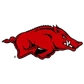 #12 Arkansas