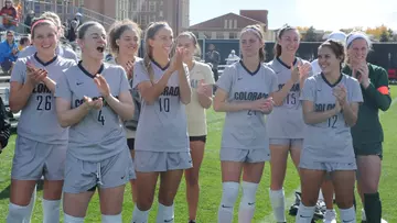 team vs. arizona 2017