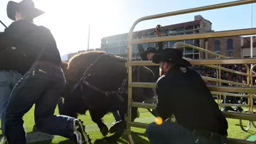 ralphie v