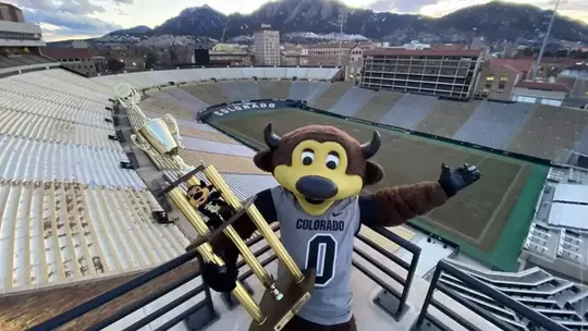 Chip National Champion