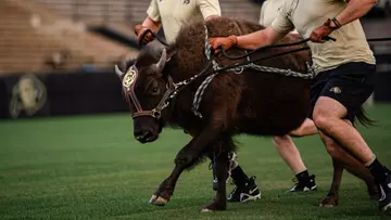 Ralphie VI