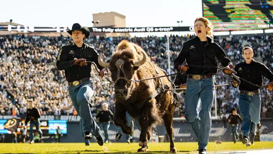 Ralphie vs Utah 2024