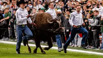 Ralphie Running vs Baylor 2024