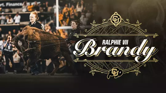 Brandy Graphic