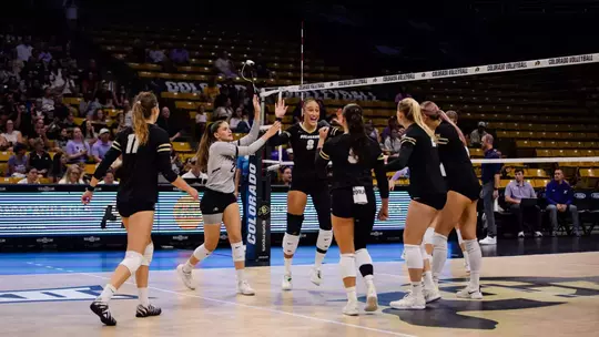 wvb k state