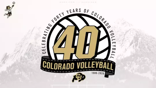 40th Anniversary VB