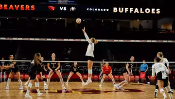 CU vb vs. Oregon State