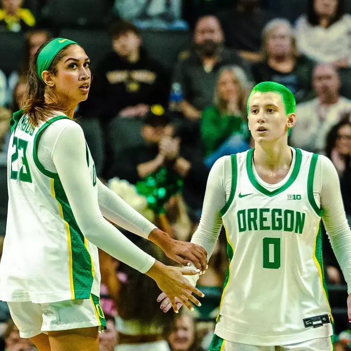 Balanced Ducks Hold Off Army Image
