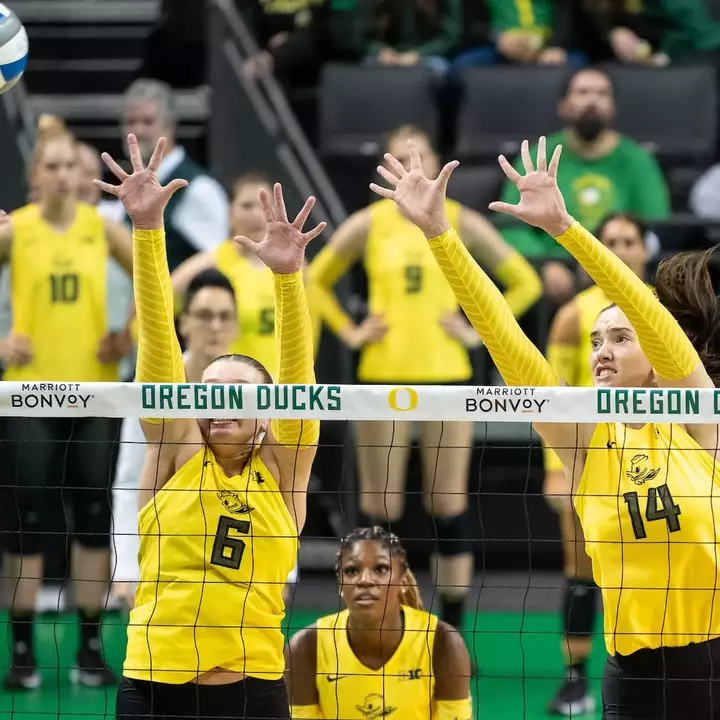 Ducks Drop Home Finale to Michigan Image