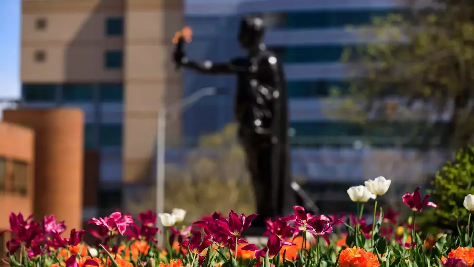 2025 Spring SEC Academic Honor Roll