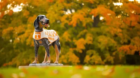 SEC Fall Academic Honor Roll