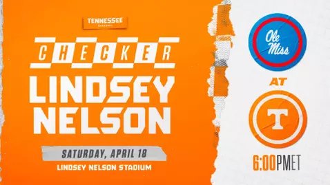 Checker LNS BSI Graphic