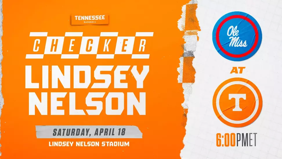 Checker LNS BSI Graphic