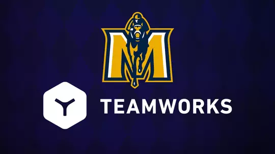 Teamworks
