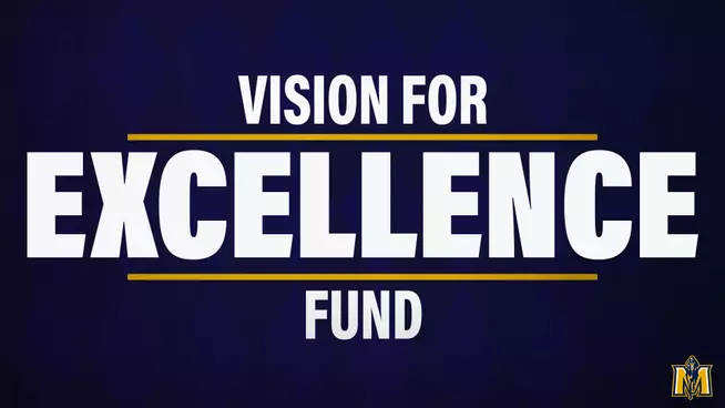 Vision For Excellence Fund