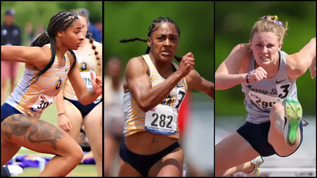 Taylor_Bostick_Johnston