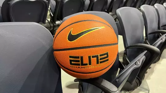 Generic Basketball