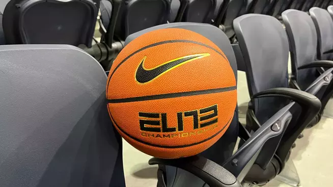 Generic Basketball