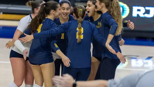 VB