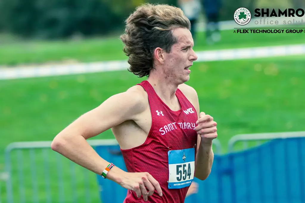 Oisin Spillane Shamrock