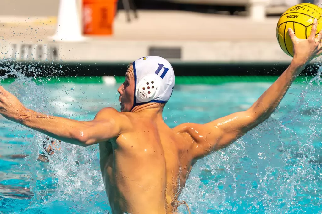 Kyle Stilinovich Release 2026