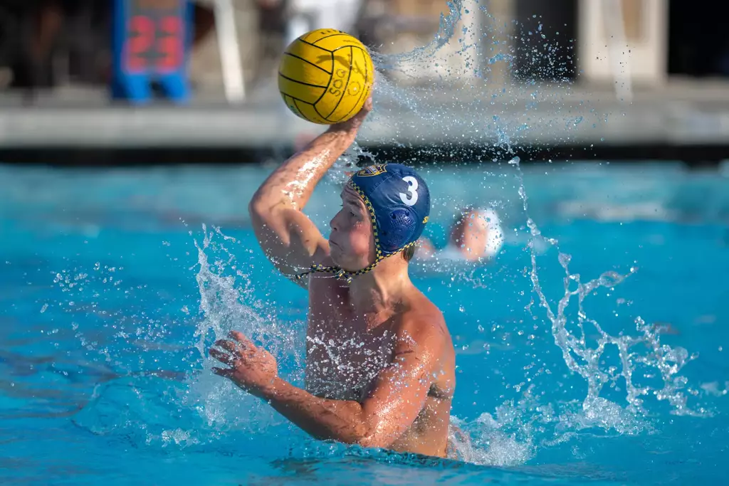 Stryder Stelck Release 2026