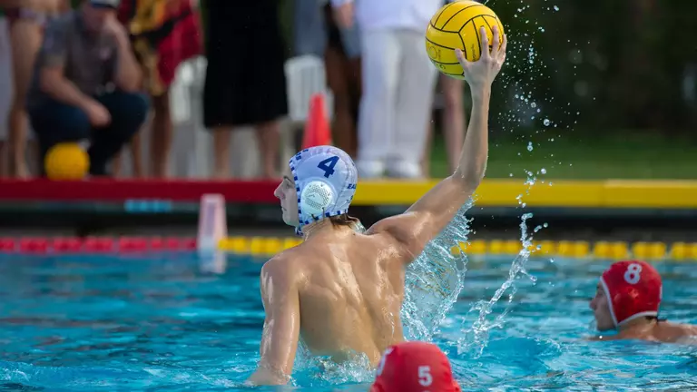 Ferran de Witt Release 2026