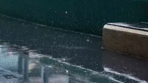 Rain